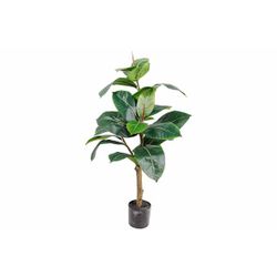 Cosy @ Home Plante Ornementale Rubber Tree In Pot Ve Rt 40x40xh76cm Plastic 