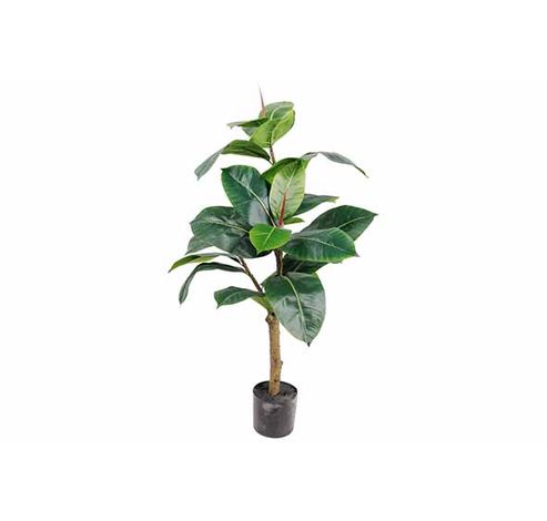 Sierplant Rubber Tree In Pot Groen 40x40 Xh76cm Kunststof  Cosy @ Home