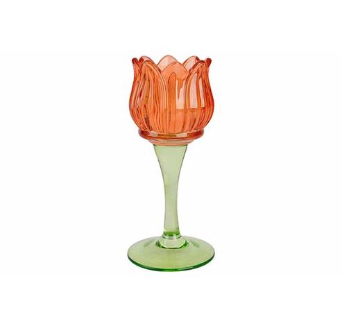 Bougeoir Tulip Orange 8x8xh17cm Verre   Cosy @ Home