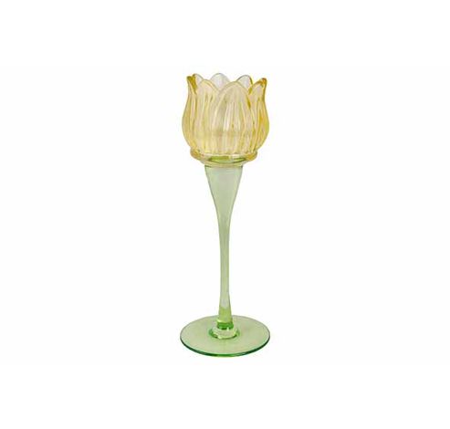 Theelichthouder Tulip Geel 8x8xh19cm Gla S  Cosy @ Home