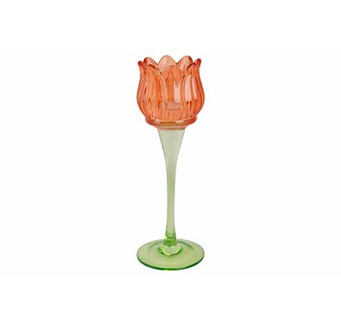 Theelichthouder Tulip Oranje 8x8xh19cm G Las  Cosy @ Home