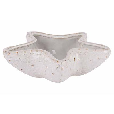 Zeester Bowl Grijs 16x15xh5cm Andere Ker Amiek  Cosy @ Home