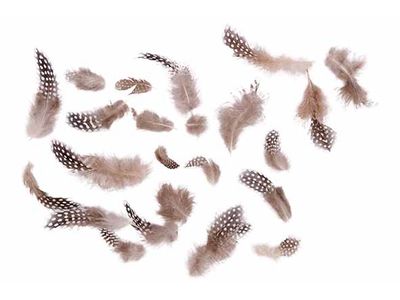 Donspluimen 10gr Natuur 21x14xh5cm 