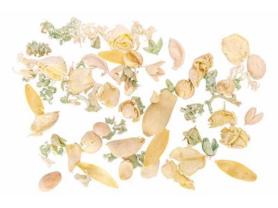 Potpourri Lemon Grass Geel 8x8xh18cm Ron D Droogbloemen