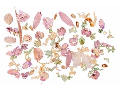 Potpourri Lavender Lilac Lila 8x8xh18cm Rond Droogbloemen