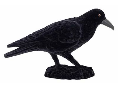 Corbeaux Flocked Noir 30x8xh16cm Plastic 