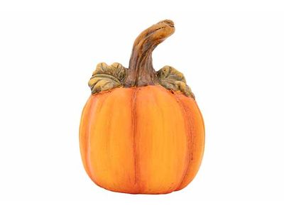 Pompoen Oranje 10x10xh14cm Magnesium 