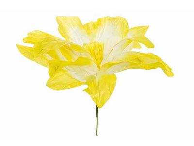 Bloem Geel 50x50xh40cm Papier 