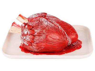 Hart Beating Rood 25x19xh12cm Polystyree N Excl 3 Aaa Batt