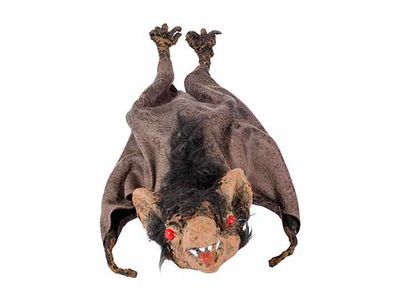 Vleermuis Moss Hanging Groen 16x11xh30cm  Foam