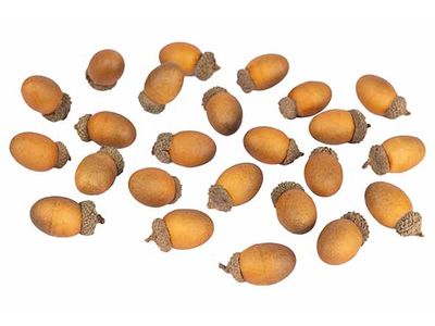 Strooideco Acorn Beige 4,5x11xh19cm Kuns Tstof