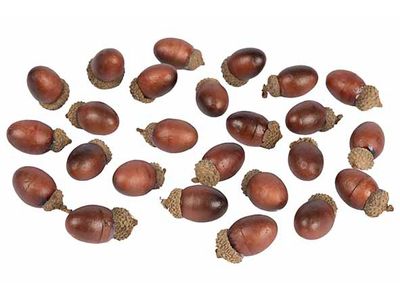 Strooideco Acorn Bruin 4,5x11xh19cm Ande Re Kunststof