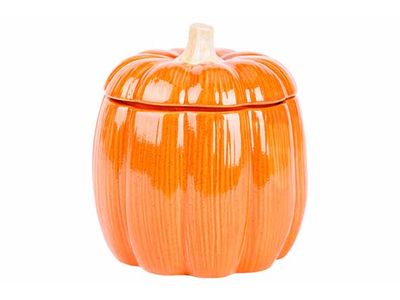 Pompoen Pot Ribble Oranje 16x16xh17cm Po Rselein