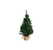 Kerstbomen