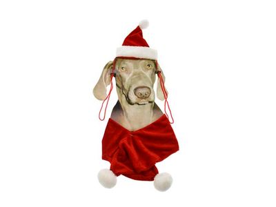 Costume De Noel Pour Chien Bonnet+echarp 