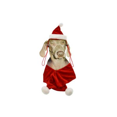 Costume De Noel Pour Chien Bonnet+echarp  