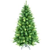 Kerstbomen