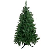 Kerstbomen