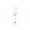 Jaia Champagneglas Set12 16cl  