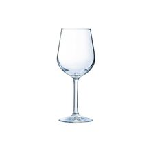 Elegance Champagneglas 10 Cl Set 12  