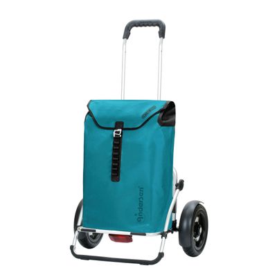 Royal Shopper Plus Ortlieb petrol 