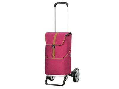 Alu Star Shopper Auke rubin