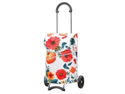 Scala Shopper MIX A41