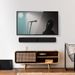 Bluesound Pulse Soundbar + Black