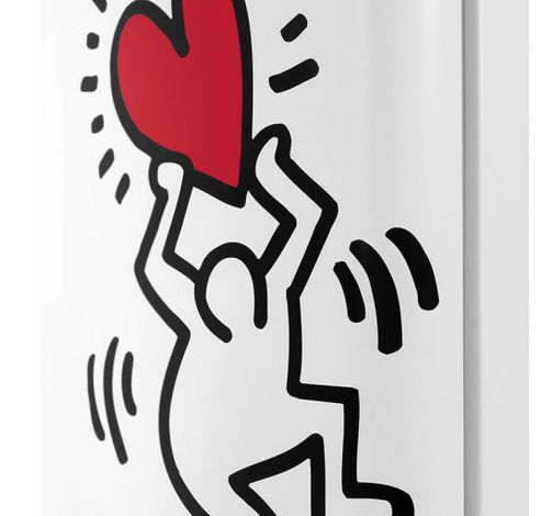 Keith Haring Koelvriescombinatie 249L Wit  Schneider