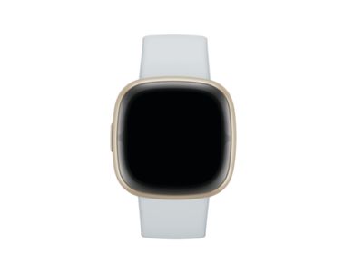 Fitbit Sense 2 blue mist/soft gold