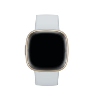 Fitbit Sense 2 blue mist/soft gold 