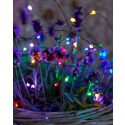 Kerstverlichting Knirke Multi green 40xled 