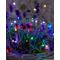 Kerstverlichting Knirke Multi green 40xled 