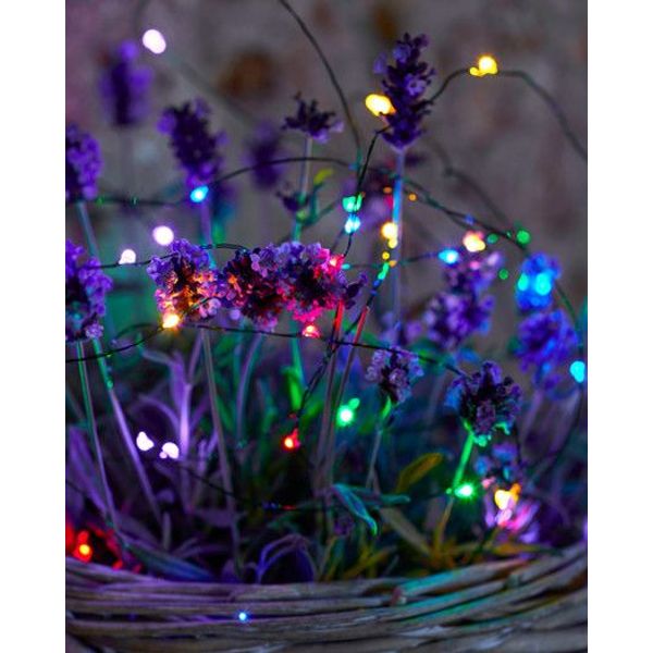 Kerstverlichting Knirke Multi green 40xled 