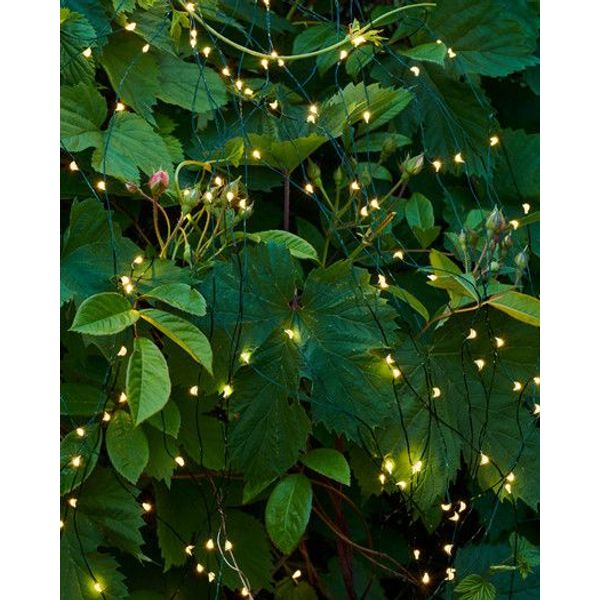 Kerstverlichting Knirkle Clear/Green, 350xled 