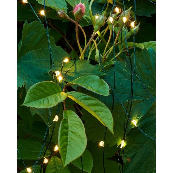 Kerstverlichting Knirkle Clear/Green, 350xled 