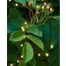 Kerstverlichting Knirkle Clear/Green, 350xled 