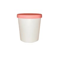 bac à glace 900ml framboise 12,5x9x5x13,5cm  