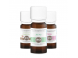 117019 Essential Oil - Well Being Pack