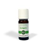 117031 Essential Oil - Eucalyptus 