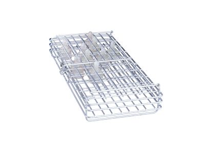 E 364 1/2 Insert f. 36 Baby Bottle Teats