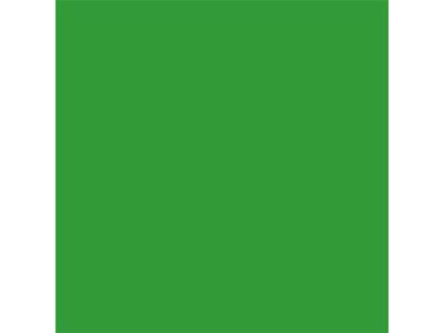 Achtergr.pap.46 Chroma Green 1.38X11M