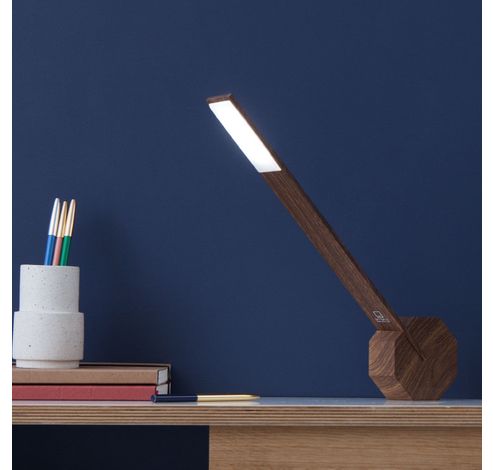 Octagon One Desk Lamp Walnut  Gingko