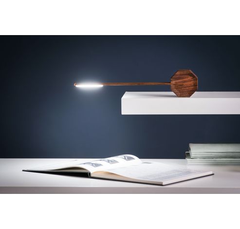 Octagon One Desk Lamp Walnut  Gingko