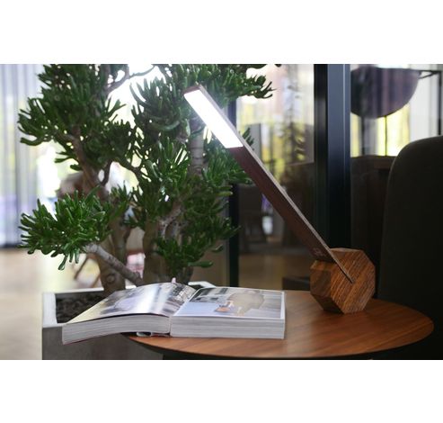 Octagon One Desk Lamp Walnut  Gingko