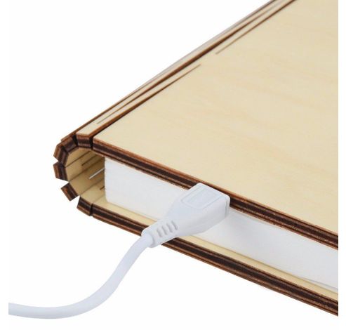 Mini Smart Book Light Maple LED  Gingko