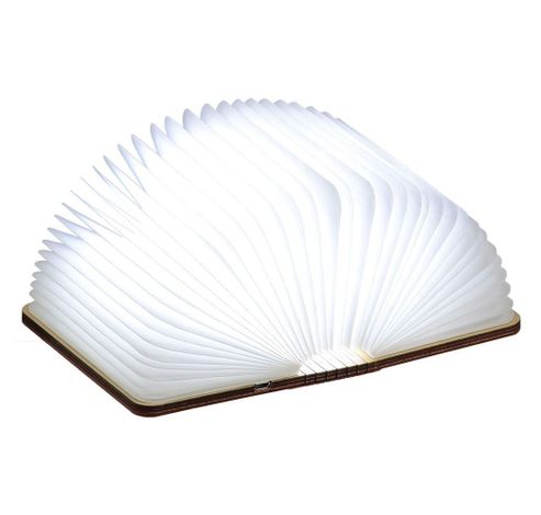 Mini Smart Book Light Maple LED  Gingko