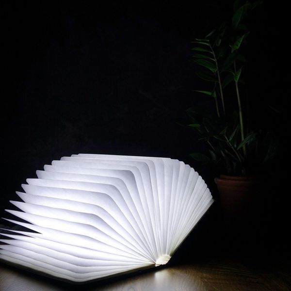 Smart Book Light Maple LED 