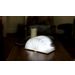 Smart Book Light Maple LED 