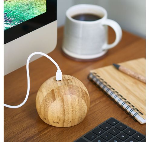 Tumbler Click Clock Natural Bamboo Wood  Gingko